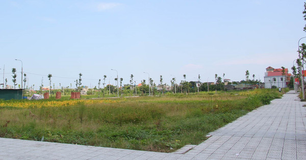 Hàng trăm lô đất sắp được các địa phương đấu giá trong tháng 6/2023