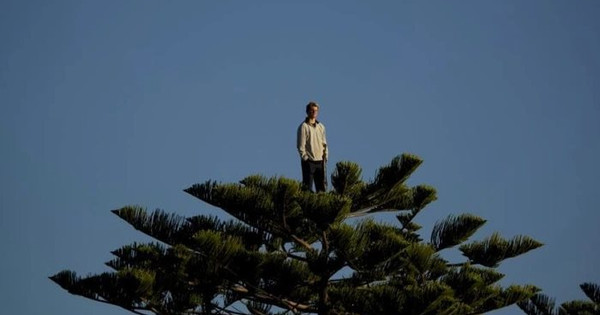 Làm thế nào để nhận diện vùng đỉnh trong đầu tư chứng khoán?