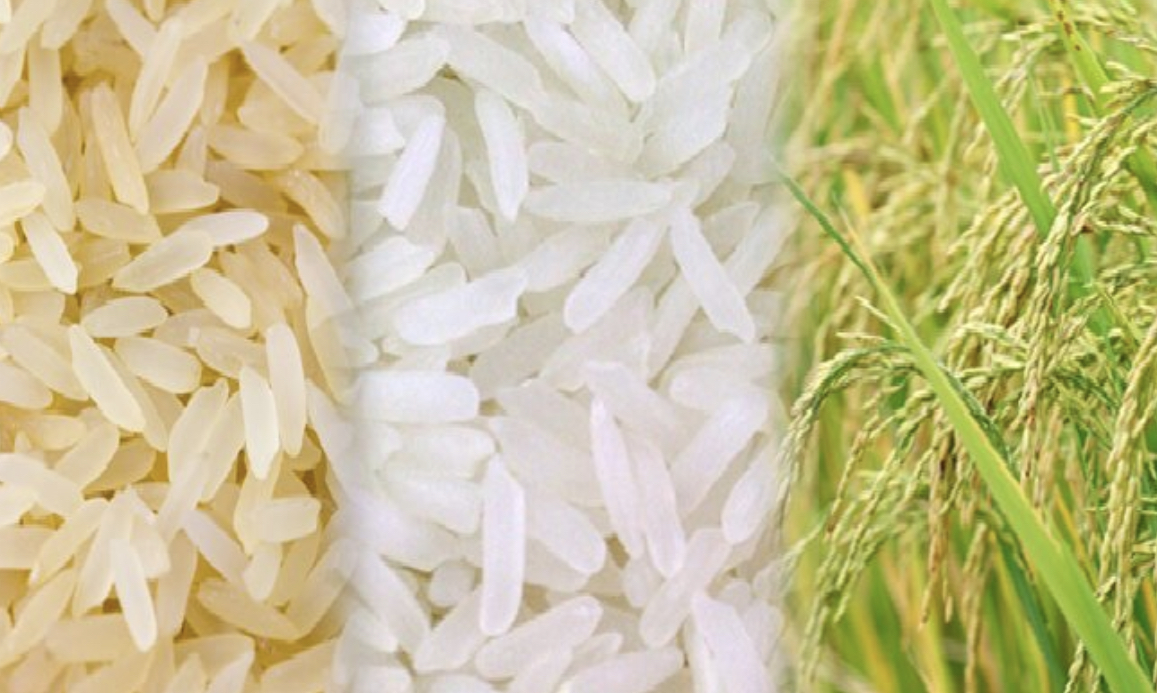 Tại sao lệnh cấm xuất khẩu gạo của Ấn Độ lại nghiêm trọng đối với thương mại toàn cầu?