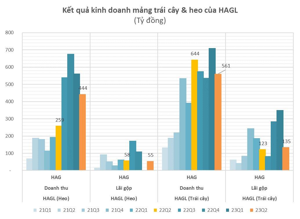 hag-8846.png