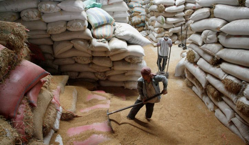 Giá xuất khẩu lập đỉnh 2 năm, đây là lý do "hạt ngọc trời" của Việt Nam sẽ còn tăng giá mạnh hơn nữa trong thời gian tới