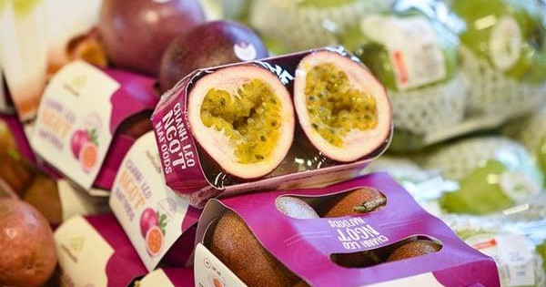 Endurance Capital Vietnam đã bán hết 1,47 triệu cổ phiếu, không còn là cổ đông NAF