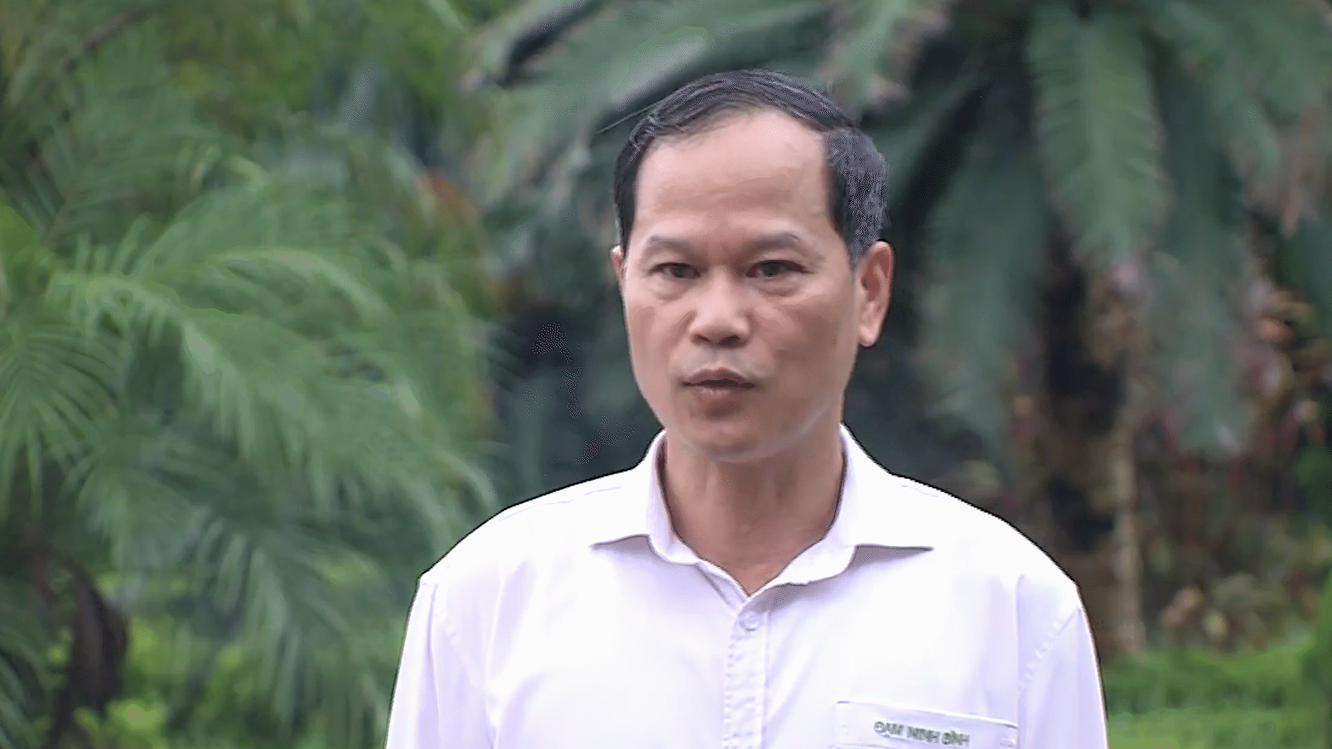 ninh-binh-3785.gif