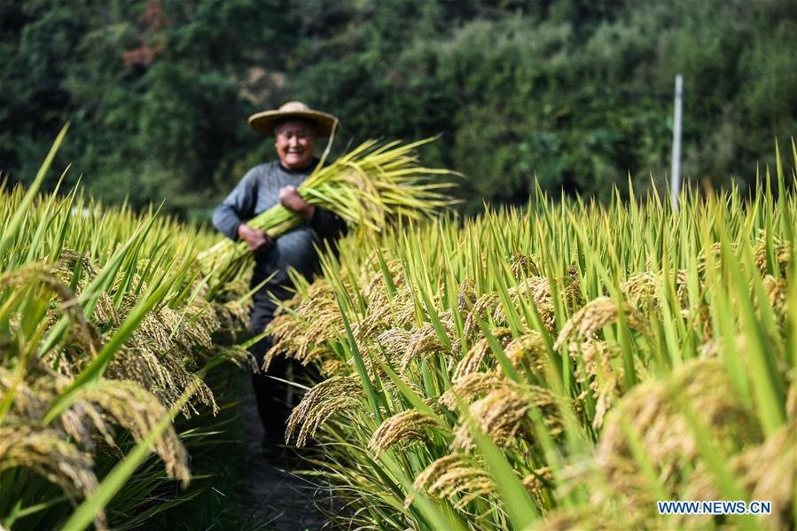 Lý do Trung Quốc đang đau đầu tìm cách "nuôi" 1,4 tỷ dân