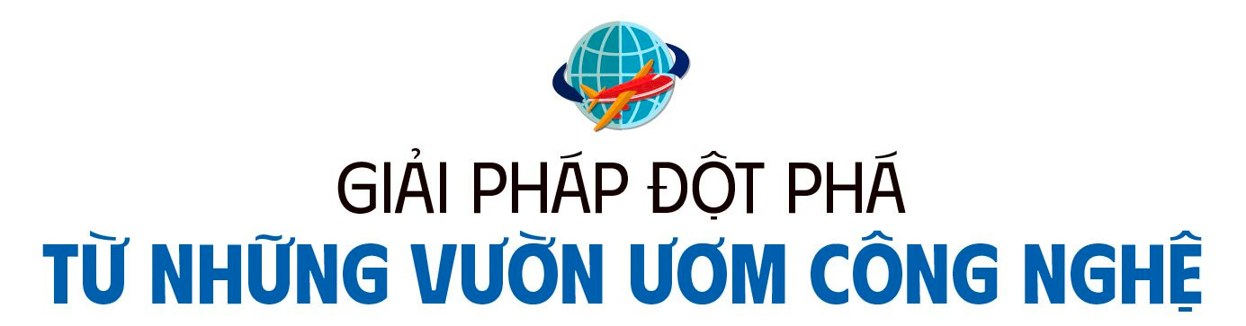 qt-title-5-web-7705.jpg