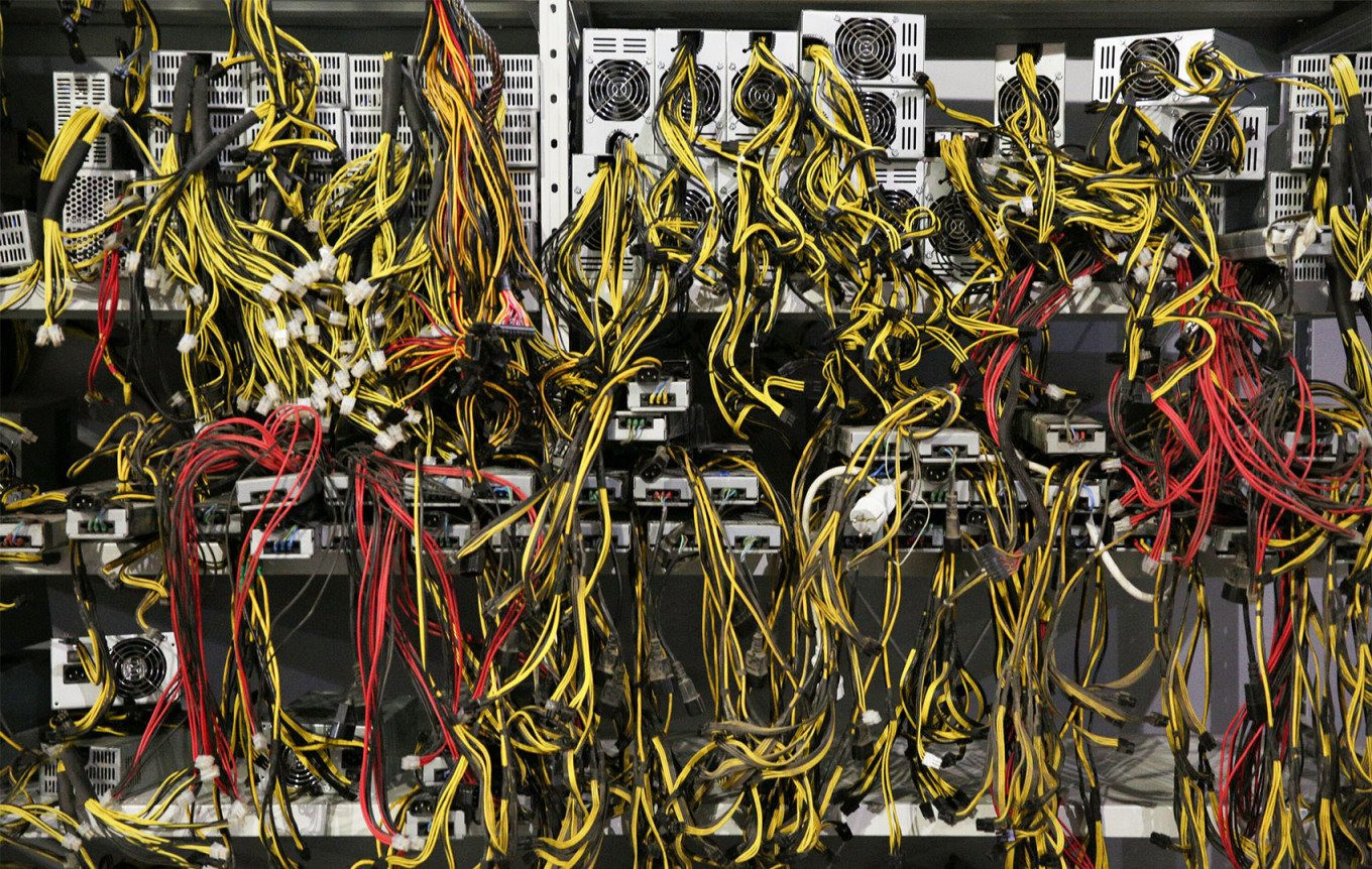 305918-6493.jpg