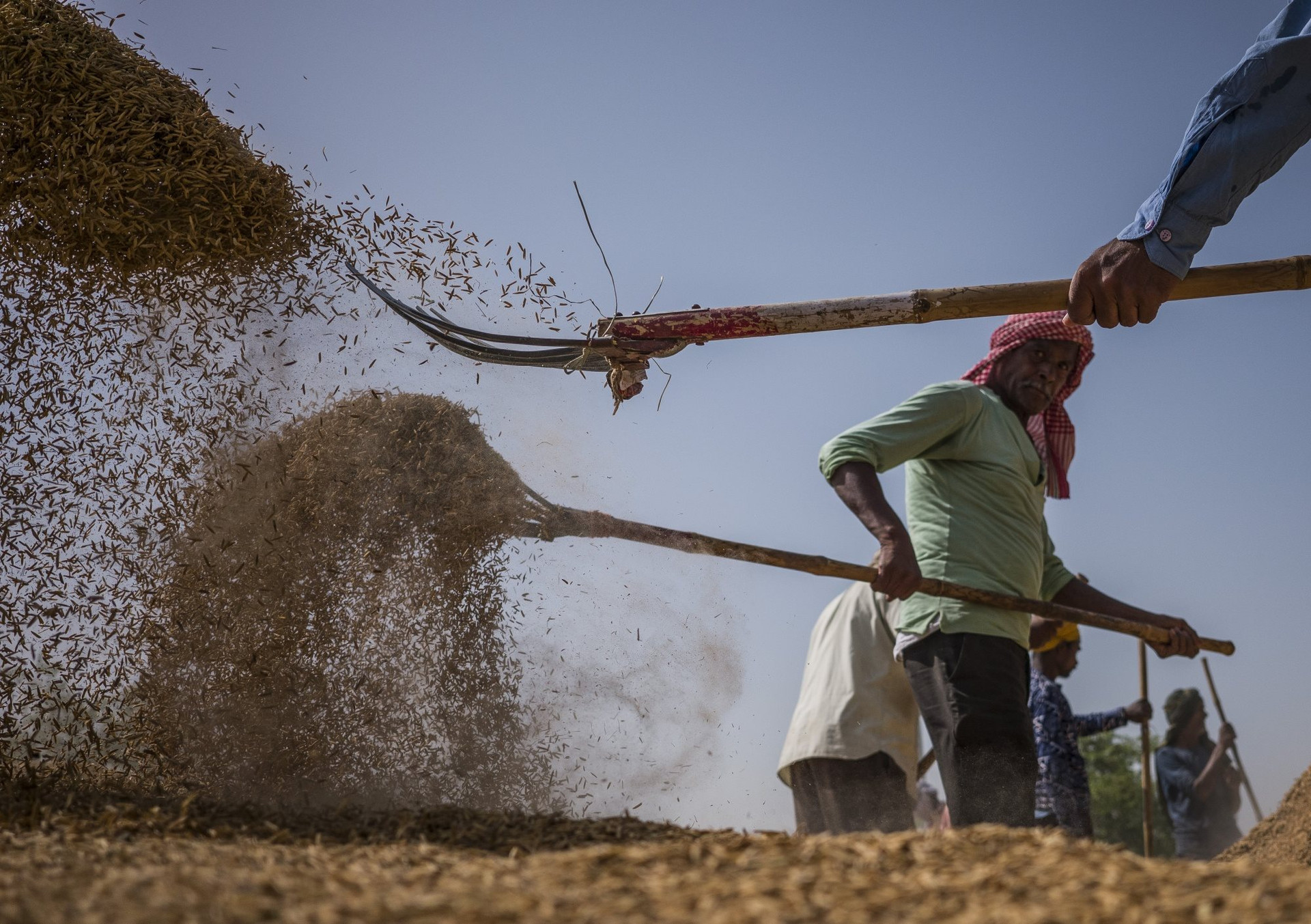 india-9576.jpg