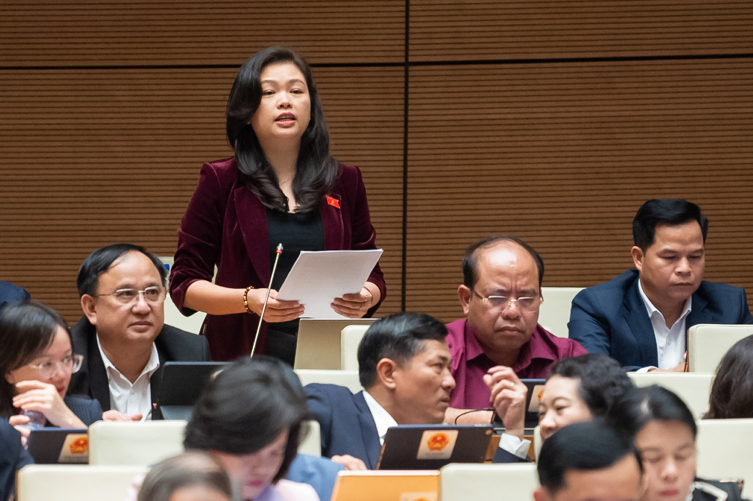 Đại biểu Đoàn Thị Lê An - Đoàn ĐBQH tỉnh Cao Bằng.