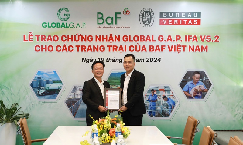 Đại diện tổ chức Bureau Veritas trao chứng nhận GlobalG.A.P IFA cho công ty BaF Việt Nam