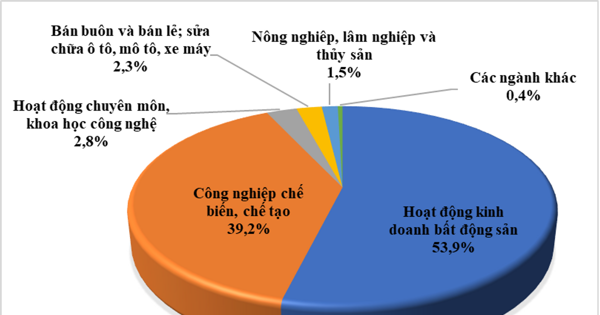 Tổng vốn đầu tư vào ngành hoạt động kinh doanh bất động sản đạt hơn 1,27 tỷ USD, chiếm 53,9% tổng vốn đầu tư đăng ký (Nguồn Bộ Kế hoạch và Đầu tư)