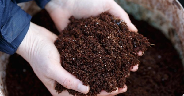 Nga bất ngờ tăng xuất khẩu một mặt hàng đến Việt Nam hơn 500%, giá rẻ cực hấp dẫn