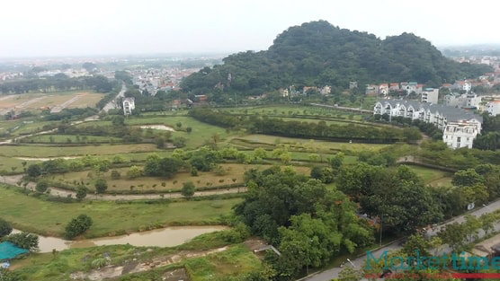 Huyện Quốc Oai (Hà Nội) dừng đấu giá, trả cọc 39 lô đất