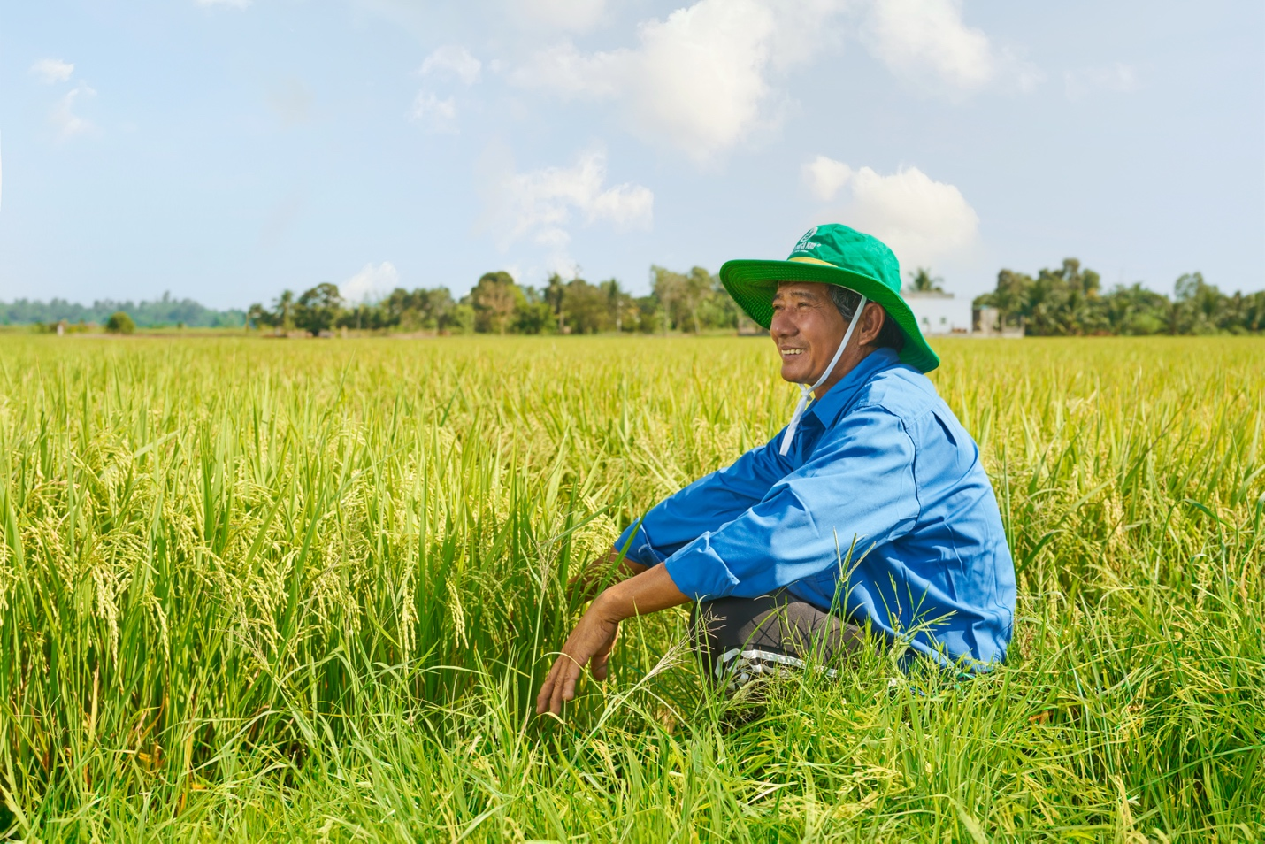 Phân Bón Cà Mau: Đa dạng lựa chọn, sẵn sàng 