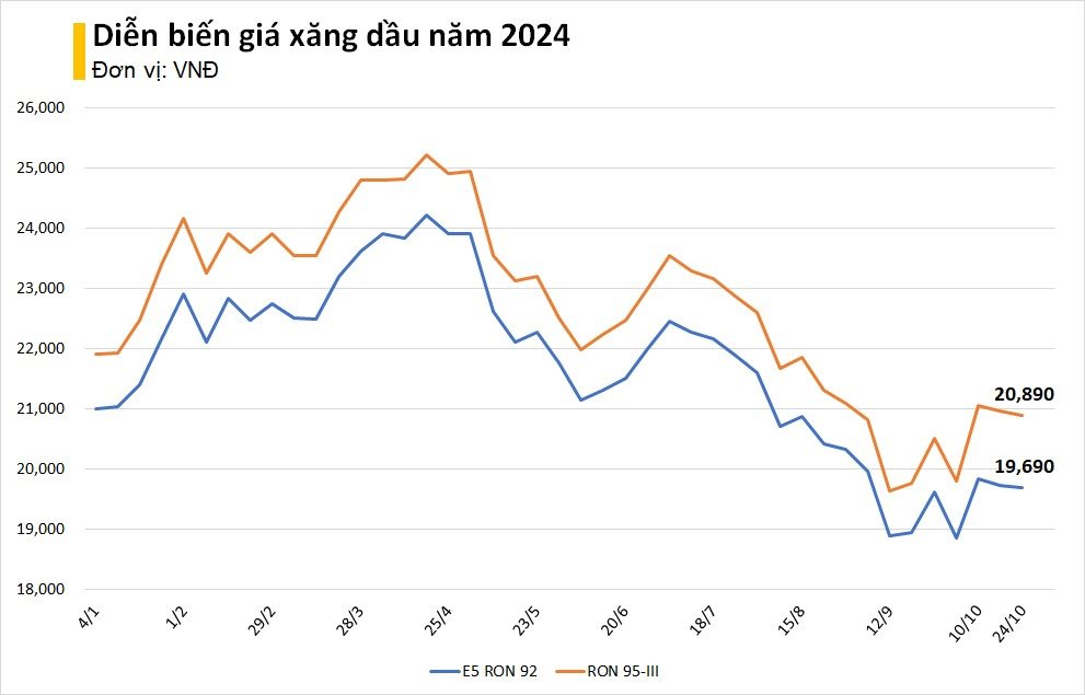 d6e20afe-31a9-498e-af73-2320b71f01ab11zon-1729756025708-17297560258451055251731.png