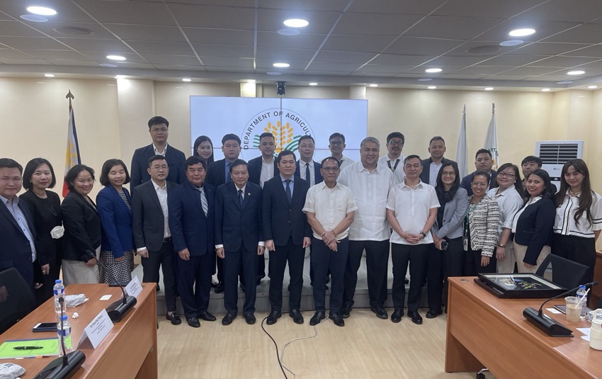 Gạo Việt tiếp tục ổn định tại thị trường Philippines