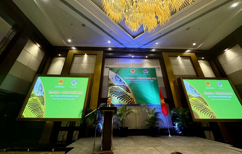 Philippines là đối tác thương mại gạo quan trọng nhất của Việt Nam