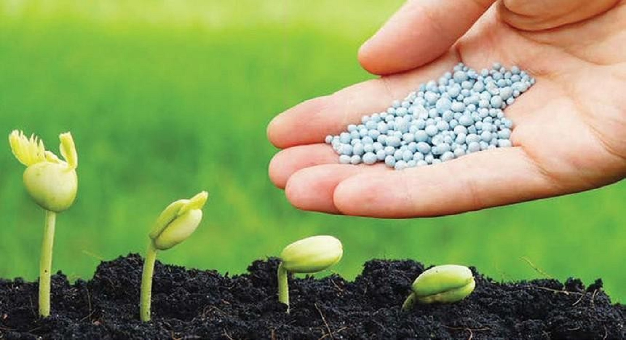 Những doanh nghiệp sẽ được hưởng lợi khi phân bón chính thức chịu thuế VAT 5%