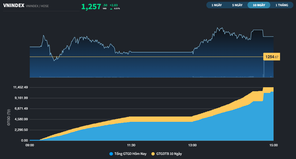 Thị trường xuất hiện sóng Midcap và Penny