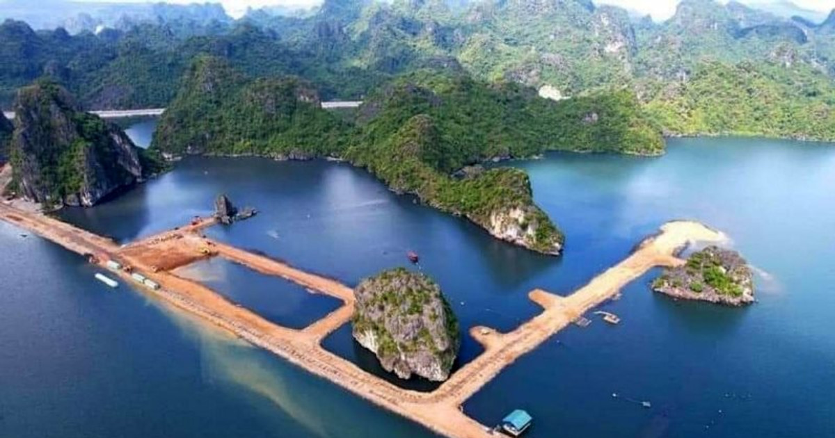 Dự thảo nêu rõ, việc xác định giá đất để tính thu tiền sử dụng đất, tiền thuê đất được thực hiện theo quy định của pháp luật đất đai (không bao gồm chi phí lấn biển).