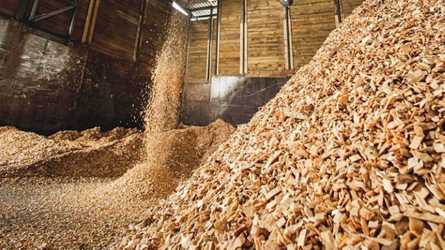 Ấn Độ liên tục đổ tiền mua sản phẩm này từ Việt Nam: Nhiều cường quốc ưa chuộng, là số ít mặt hàng mang về hơn 1 tỷ USD trong tháng 1/2024