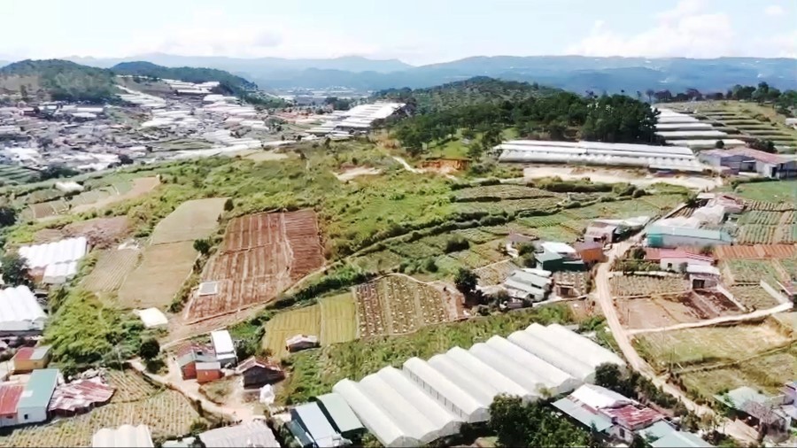 lam-dong-lap-to-cong-tac-dac-biet-go-kho-du-an-khu-dan-cu-tai-trai-mat-da-lat-6475cbc910f5320240219133346-1152.jpg