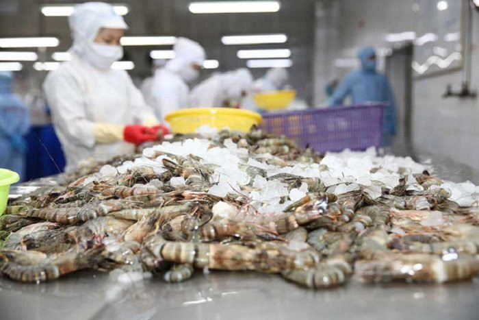 Xuất khẩu tôm Việt Nam qua thị trường Trung Quốc và Mỹ tăng trưởng mạnh trong 2 tháng đầu năm.