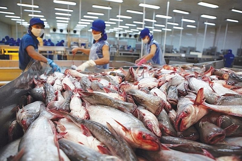 Xuất khẩu thủy sản 2 tháng đầu năm 2024 đạt trên 1,3 tỷ USD.