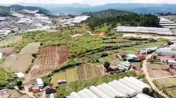 Diễn biến mới tại dự án gần 1.500 tỷ đồng của Trung Nam ở Lâm Đồng