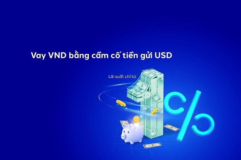 vay-the-chap-usd-4144.jpg