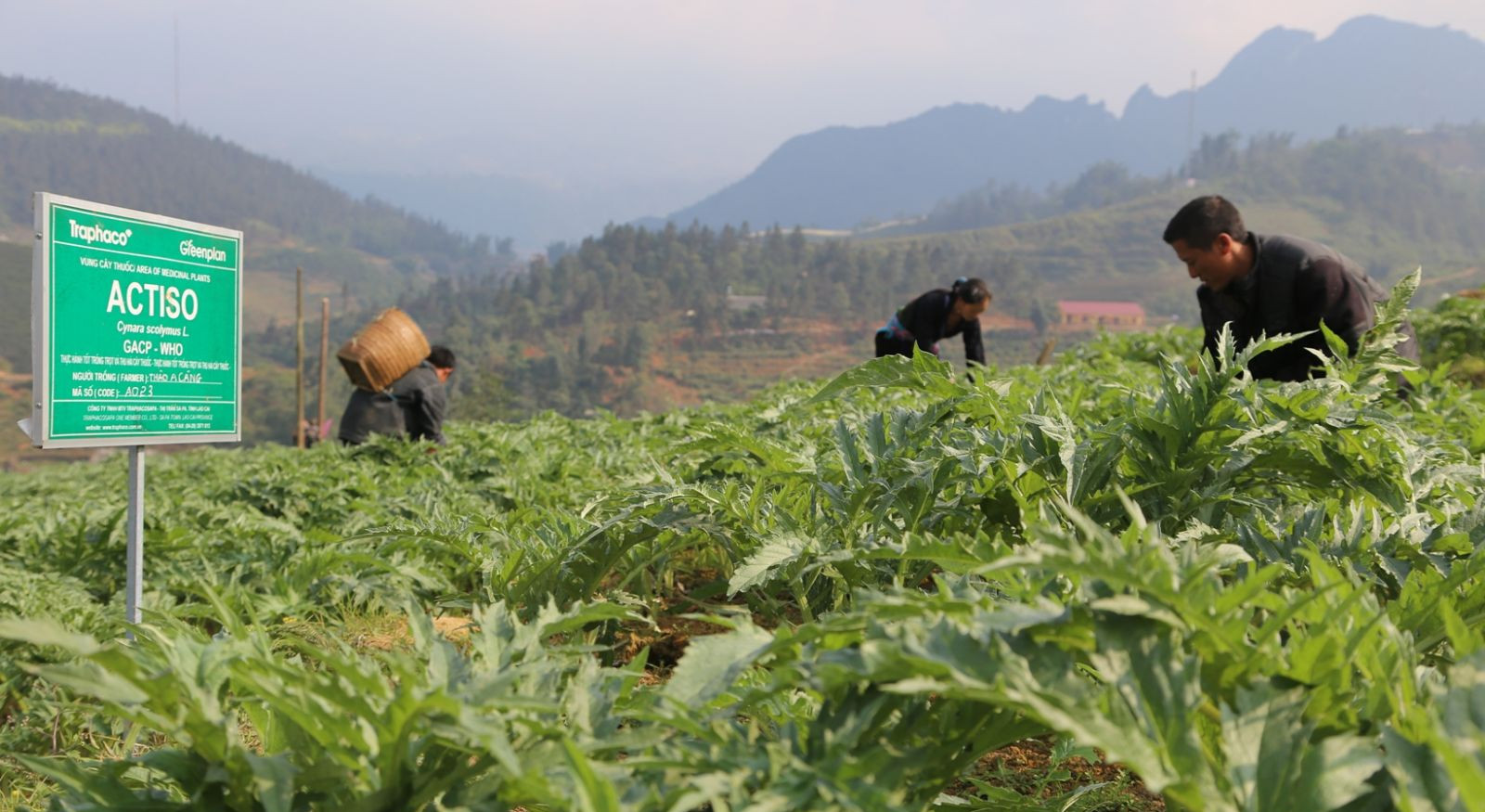 ĐHĐCĐ Traphaco: Không thể trì hoãn việc nâng cấp nhà máy chuẩn EU-GMP, phát triển thêm mảng tân dược