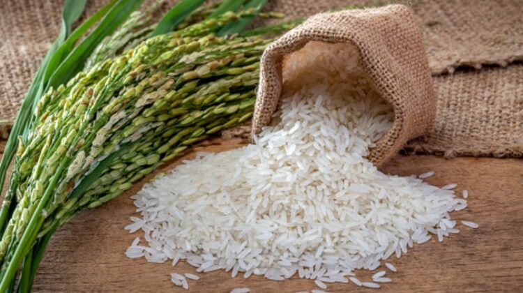 Dễ có thay đổi cực lớn trên thị trường gạo toàn cầu vì một cú "quay xe" của Ấn Độ