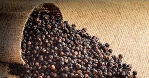 Giá hồ tiêu tăng mạnh, xuất khẩu sang nhiều thị trường tăng gấp đôi