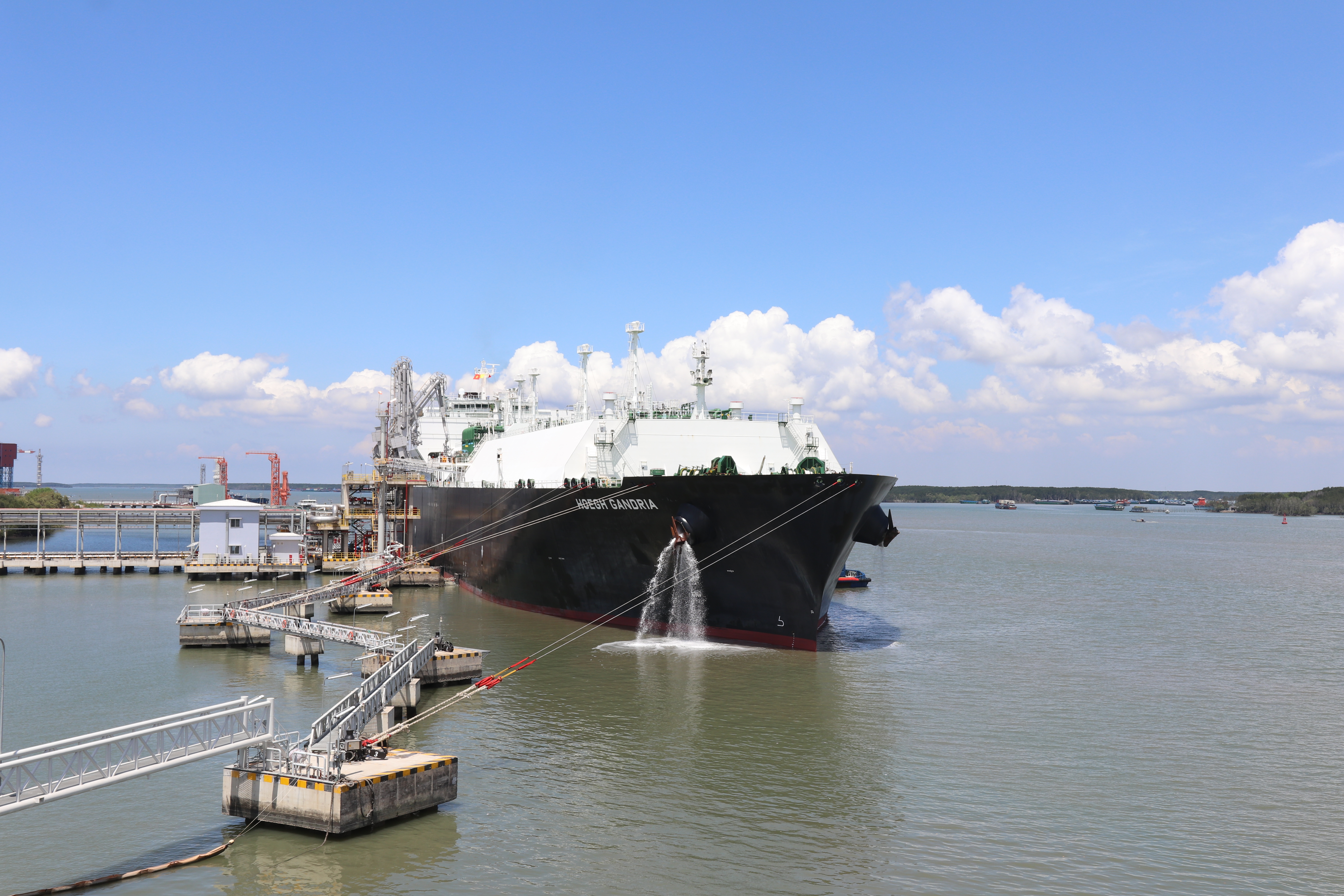 pgv1a-2781-7804-44.jpg