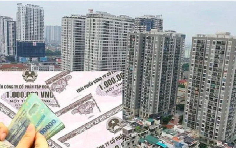 Hậu phát hành 2.300 tỷ đồng trái phiếu, một doanh nghiệp địa ốc tại TP.HCM báo lỗ kỷ lục