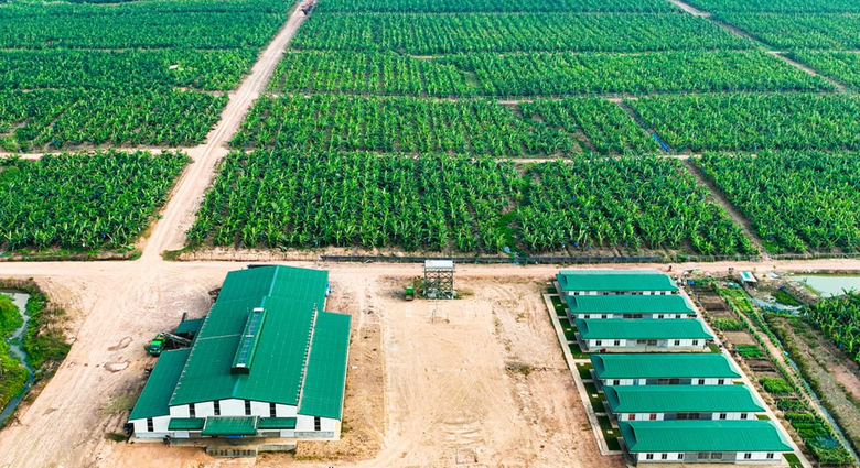 image-bizlive-vn_screenshot-2024-06-07-at-105957-8885.png