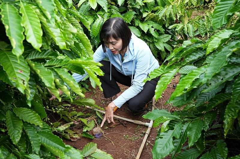 chi-mai-thi-nhung-nu-truong-nhom-nong-dan-cua-chuong-trinh-nescafe-plan-chia-se-ve-viec-su-dung-chai-de-do-do-am-cua-dat-trong-qua-trinh-canh-tac-giup-tiet-kiem-luong-nuoc-tuoi-tieu-va-chi-phi-9636.png
