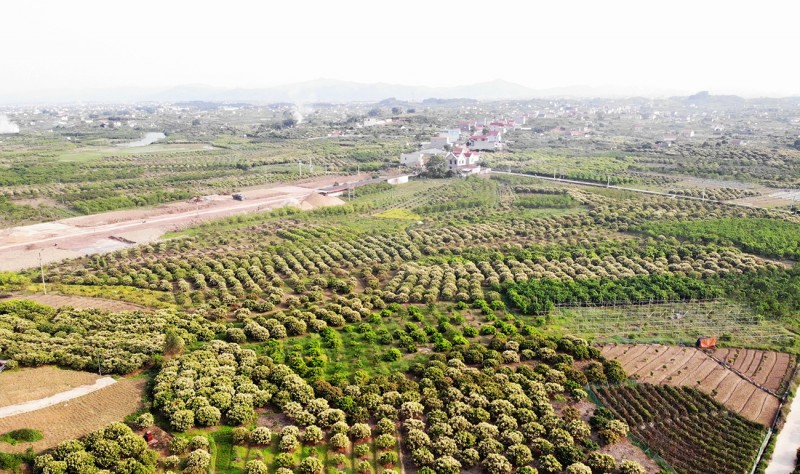 1721037402121-z4218618753656-5a73fd8394419de766379e34e9c990dc20240718153309.jpg?rt=20240718153312