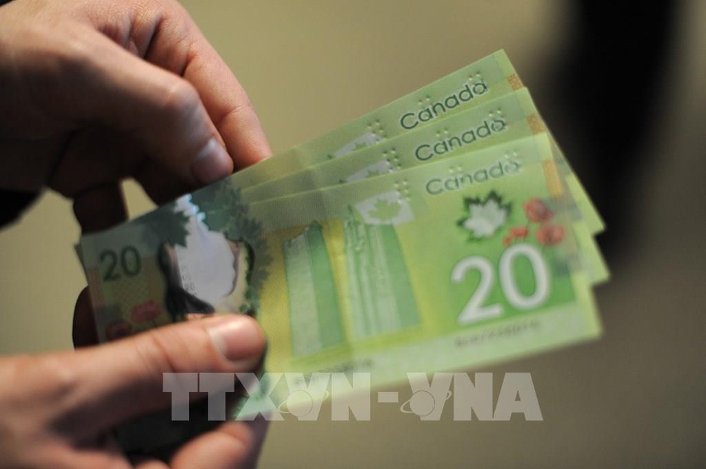 135603-ngan-hang-trung-uong-canada-co-nguy-co-lo-hang-ty-cad-trong-nhung-nam-toi.jpg
