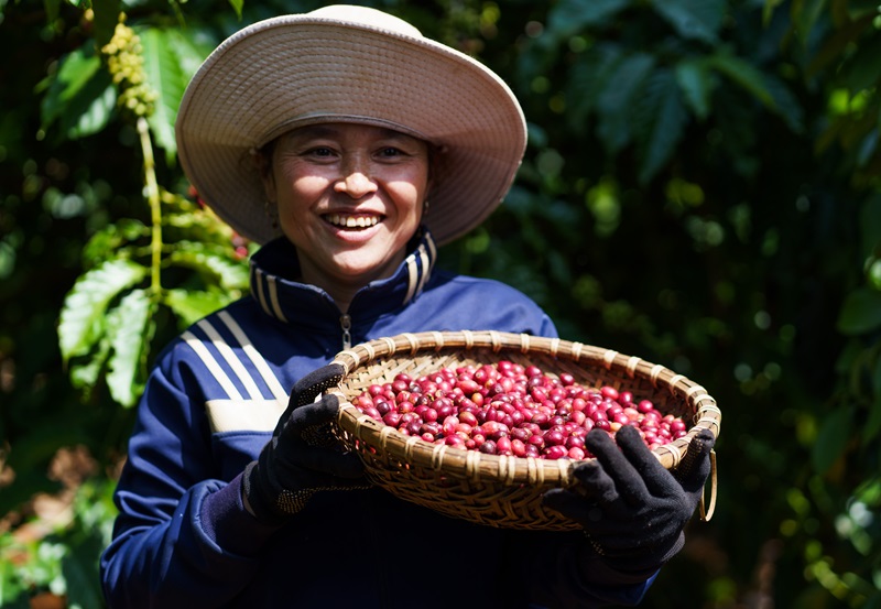 Nguồn cung khan hiếm giúp một nông sản chiến lược của Việt Nam liên tiếp xô đổ các đỉnh giá cũ