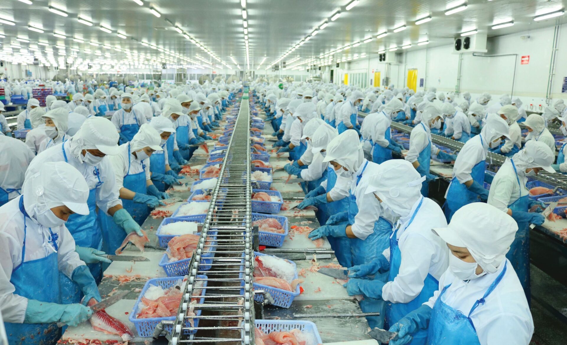 Giá vốn cao và áp lực chi phí 