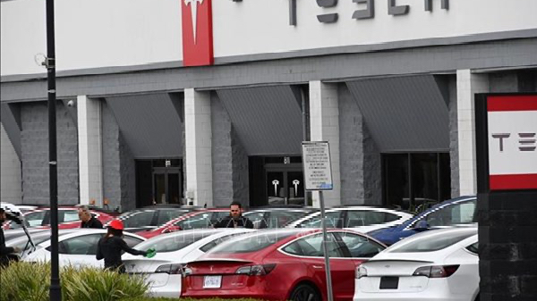 Tuần thăng hoa của cổ phiếu Tesla