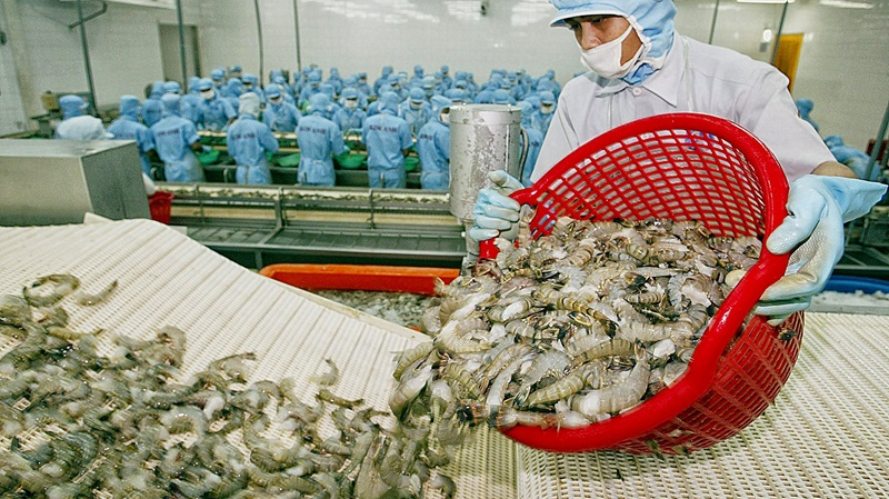 Thông tin tích cực về nền kinh tế Mỹ có giúp xuất khẩu tôm Việt khả quan hơn?