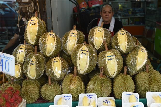 vna-potal-thai-lan-phat-trien-hop-chong-mui-de-bao-quan-sau-rieng-khi-van-chuyen-stand-20240926075633.jpg