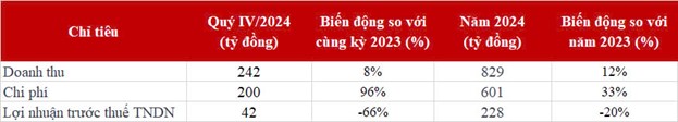 Chứng khoán DNSE đạt doanh thu 829 tỷ đồng năm 2024