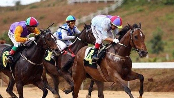 Loạt cổ đông “chung vốn” vào công ty tài sản mã hóa bất ngờ “đua trần” phiên đầu tháng 10