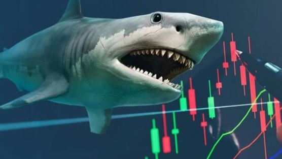 “Cá mập” quy mô gần 14.000 tỷ đồng có thể mua mạnh cổ phiếu này trong kỳ cơ cấu tháng 10