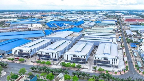 Một công ty bất động sản KCN báo lãi quý 3/2025 giảm 70%, cổ phiếu giảm kịch sàn