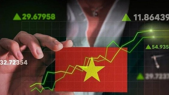 Không chỉ ngân hàng và chứng khoán, đây là nhóm cổ phiếu có thể 