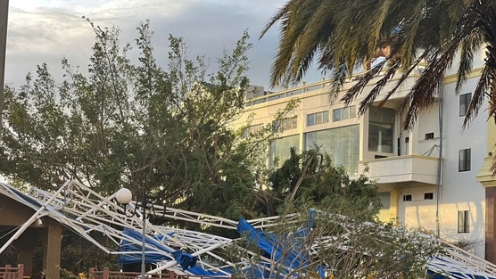 Bão số 13 tàn phá Gia Lai, nông trường chuối của Bầu Đức ra sao?