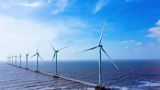 REE rót thêm 3.250 tỷ làm điện gió